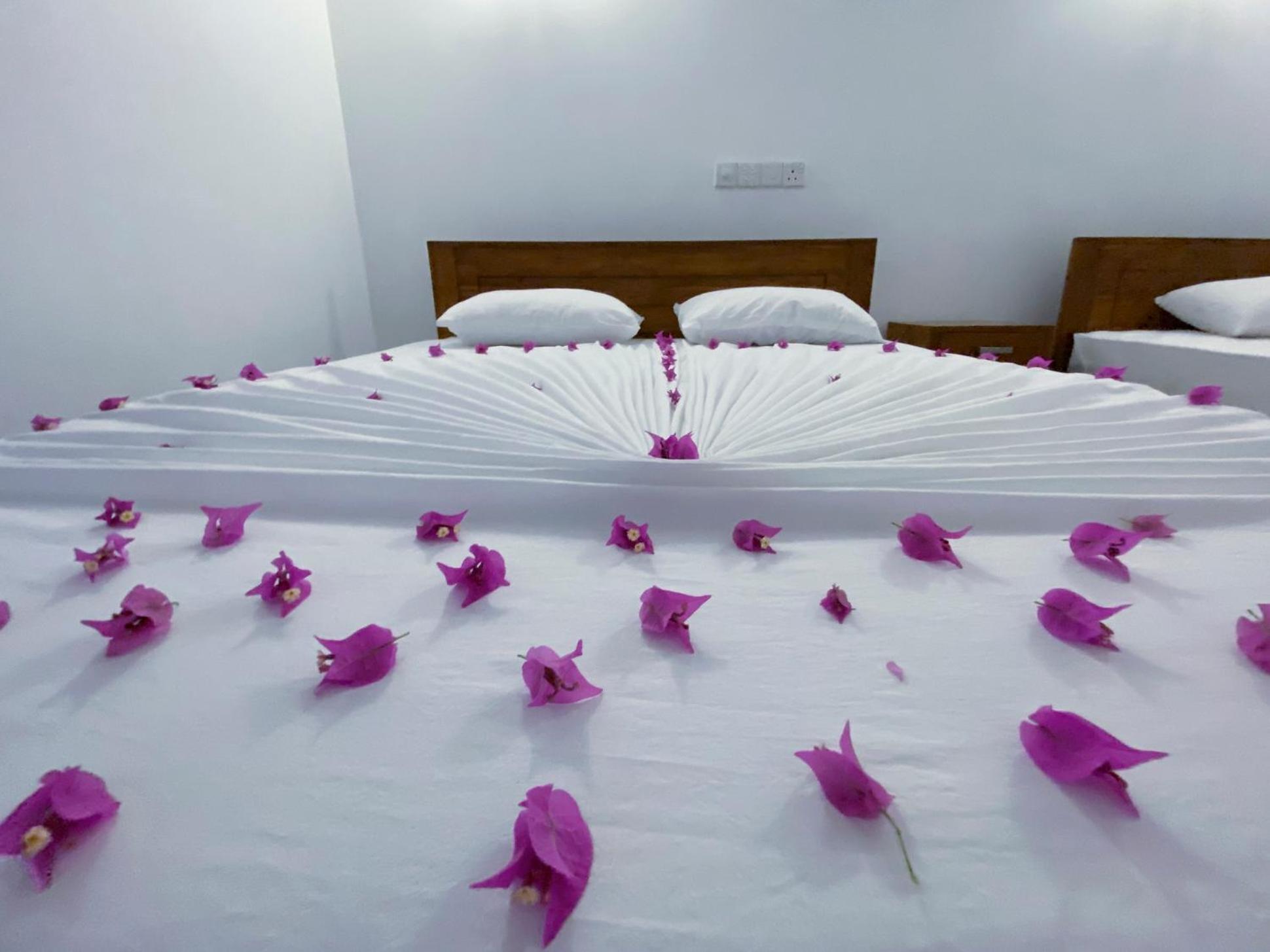 Yala Safari Green Home Stay Tissamaharama Εξωτερικό φωτογραφία